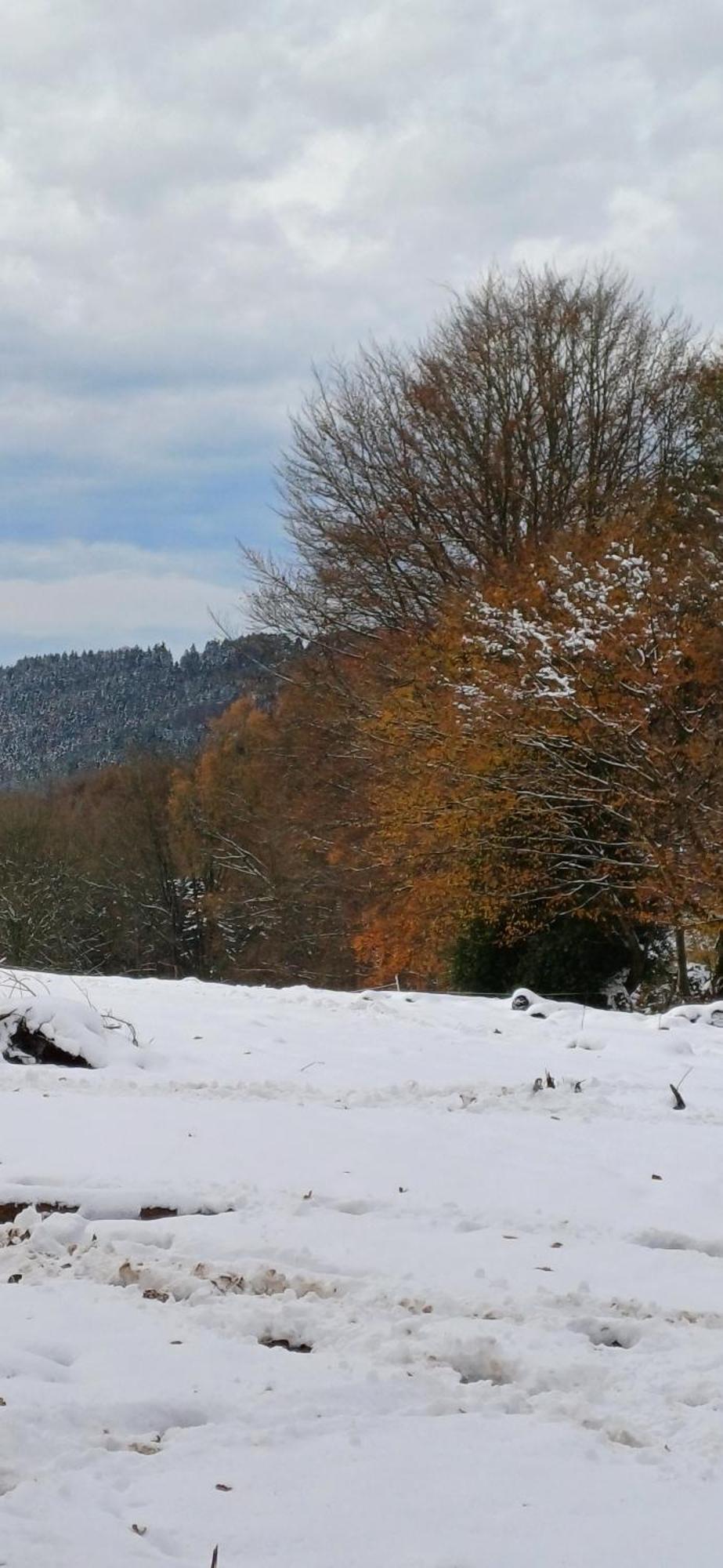 L'Ecureuil - Terrasses De Malmedy Βίλα Εξωτερικό φωτογραφία